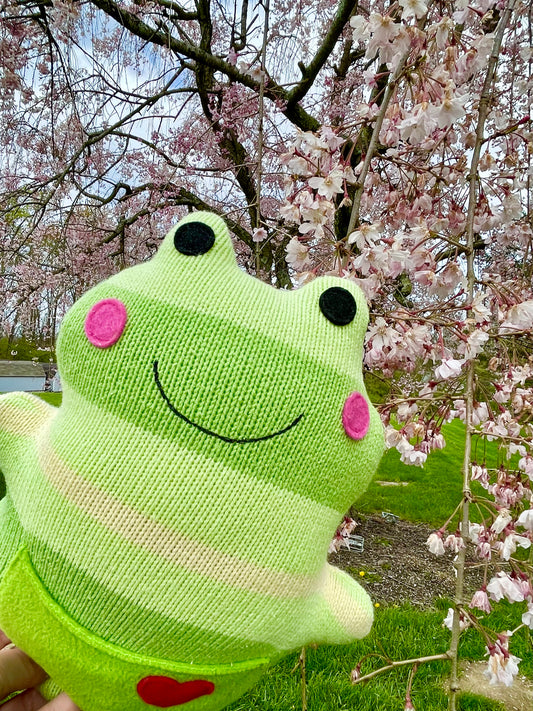 Frog Stuffed Animal